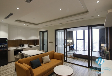 Brand new one bedroom apartment for rent in Giang Vo st, Ba Dinh