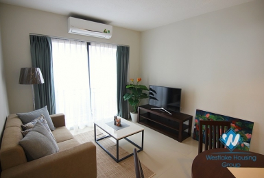 Bright two bedrooms with lake view in Tay Ho area , Ha Noi