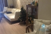 02 bedrooms apartment for rent in Sky city Tower, Lang Ha st.