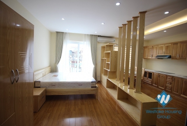 Bright and airy brand new studio for rent in Westlake area