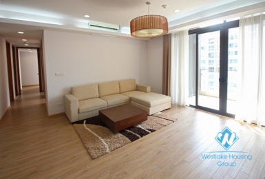 Executive high rise condo apartment for rent in Dolphin Plaza Cau GIay