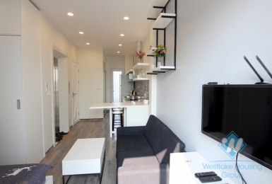 New 01 bedroom apartment face to Westlake for rent in Tay ho, Ha Noi
