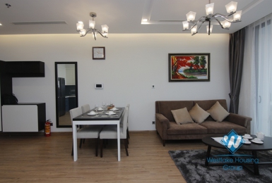 A bright and new apartment for rent in Vinhome Metropolis