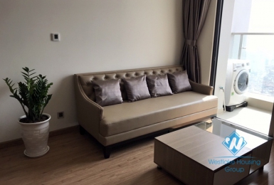 A new and modern 2 bedroom apartment for rent in Metropolish Lieu giai