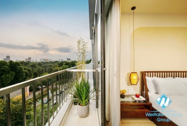 One bedroom apartment for rent near Thong Nhat park