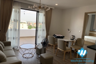 A brand new, elegant style 2 bedroom apartment for rent on Trinh Cong Son street