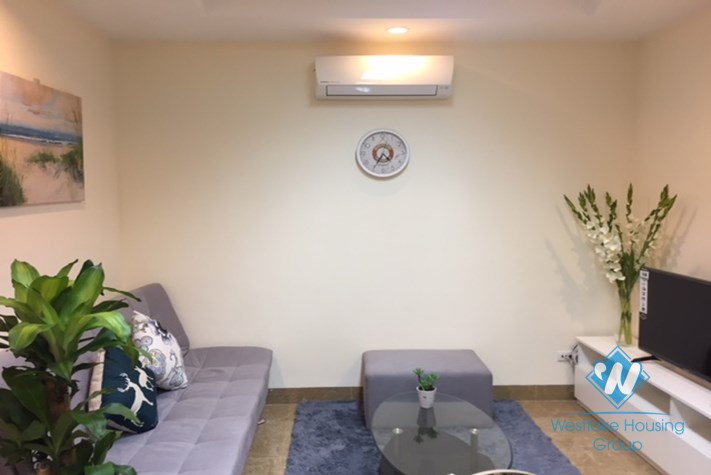 Brand new 2 bedroom apartment for rent in Ba Dinh