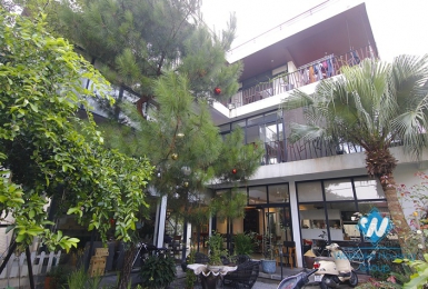 Beautiful house with garden for rent in Long Bien area 