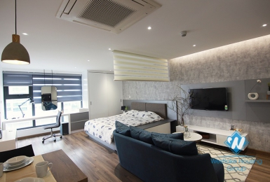 Luxury studio for rent in D'. Le Roi Soleil Building-Tay Ho District 