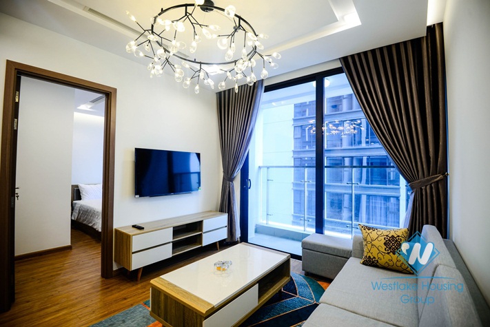 A nice and affordable 2 bedroom apartment for rent in Vinhome Metropolis