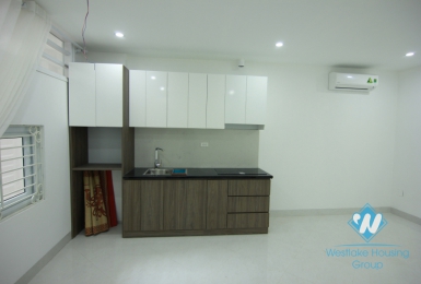 Airy and Brand New Apartment for Rent in Westlake area