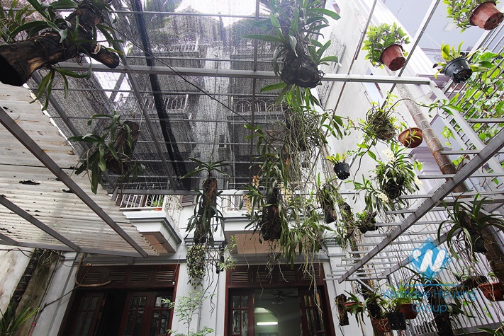 Cheap 4 bedrooms house with big yard for rent in Tay Ho district, Hanoi.