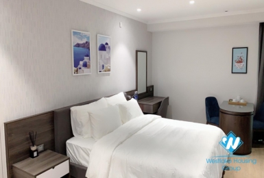 Brand-New Bright serviced studio for rent in Truc Bach street
